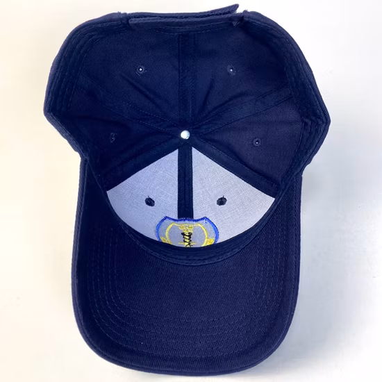 シンプルなパープルの新しいプロモーションスポーツレジャースナップバックハット